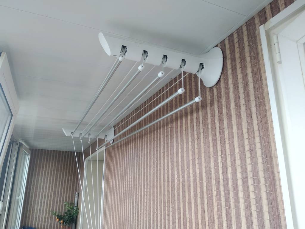 Сушилка для белья «лиана» (59 фото): потолочные и настенные вешалки для сушки, модели в ванную или на балкон, как правильно установить