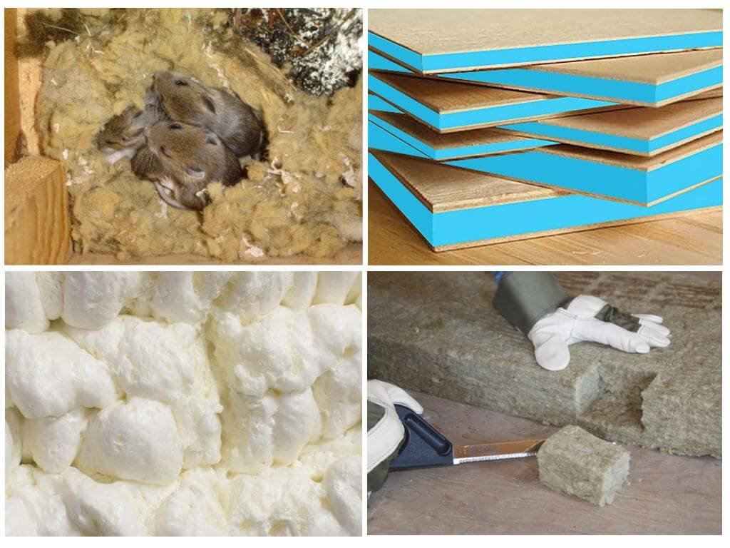 Какой утеплитель не грызут мыши и крысы, разбираемся