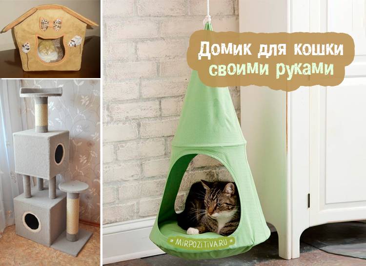 Домик для кошки своими руками: как сделать пошагово? 150+ (фото) из дерева, картона, коробок, с когтеточкой
