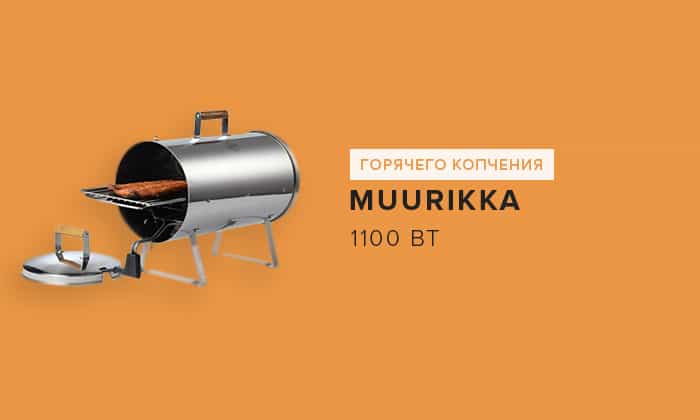 Топ-6 лучших коптилен холодного копчения – рейтинг 2021 года