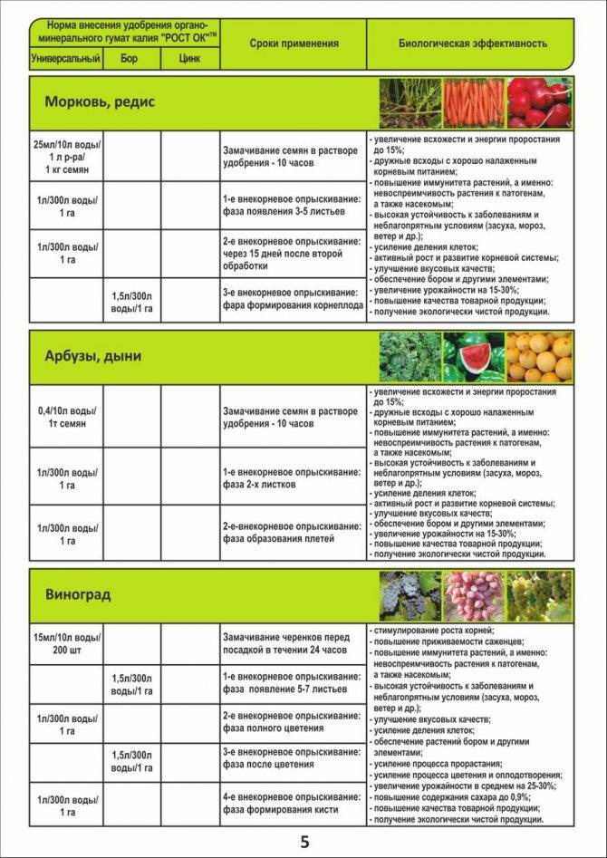Обработка сада весной от болезней и вредителей