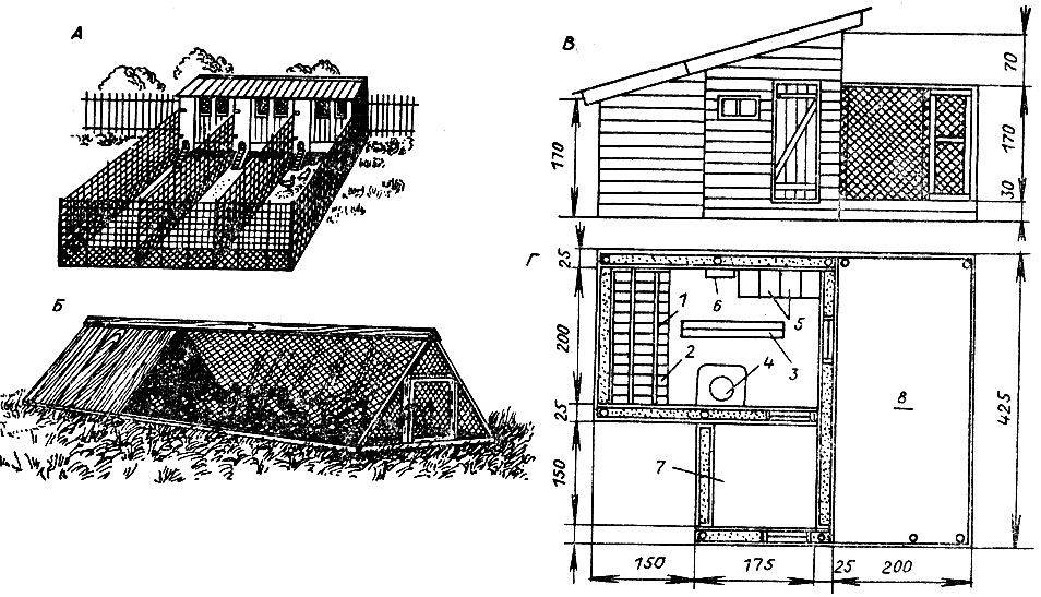 План постройки курятника