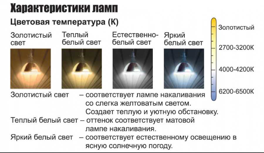 Теплый и холодный белый свет: сколько кельвинов