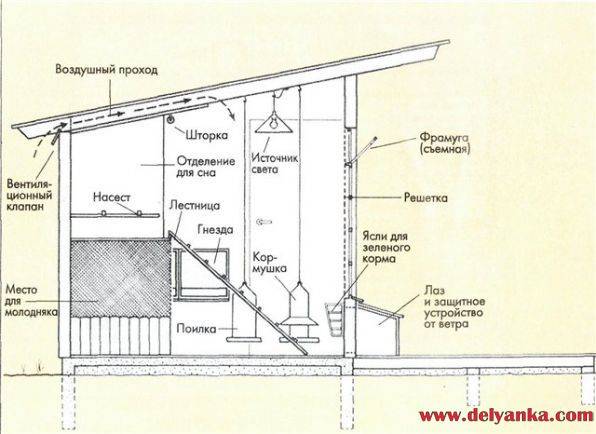 Курятник на 20 кур размеры и чертежи