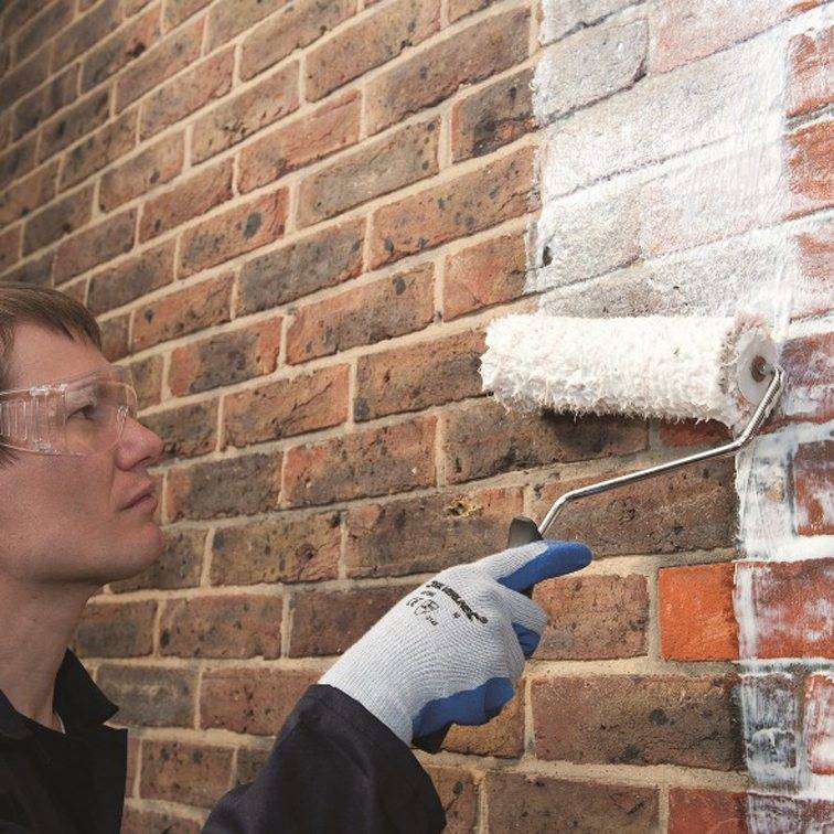 Побелка стен: чем побелить стены и потолок во время ремонта и как правильно развести побелочный состав, как гасить и как разводить известь