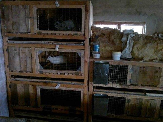 Клетки для кроликов своими руками в домашних условиях