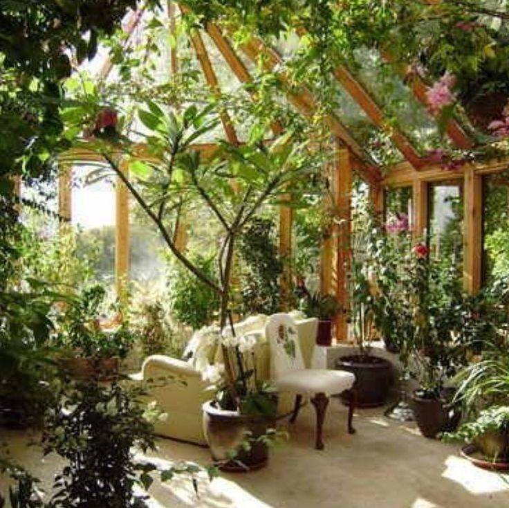 Зимний сад в частном доме: 14 советов по обустройству своими руками + фото