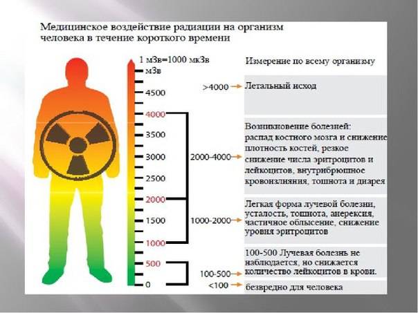 Как радиация действует на организм человека?