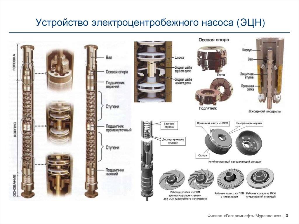 Опора модуля. Погружной электроцентробежный насос ЭЦН схема. Топливный насос ЭЦН 311 чертёжный. Шлицевые муфты ЭЦН. Пэд УЭЦН 1250.