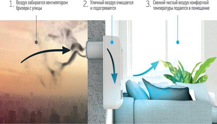 Как очистить воздух в квартире от пыли, плесени, бактерий и запахов