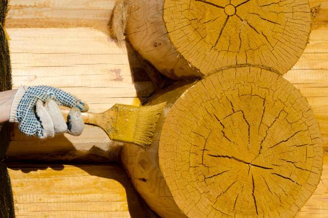 Топ-7 лучших антисептиков для древесины – рейтинг 2020 года