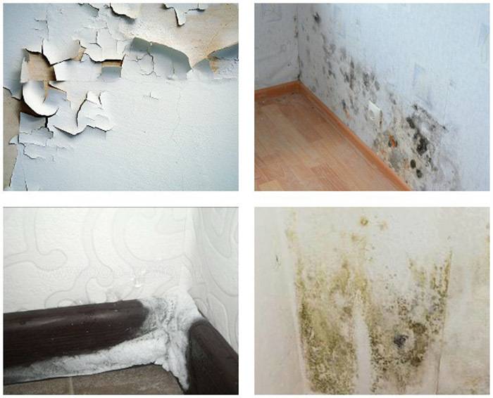 Почему сыреют стены в квартире или доме и что с этим делать?