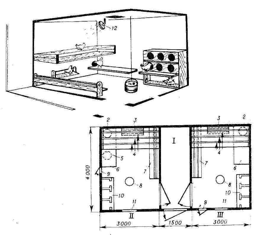 Как построить зимний курятник на 20 кур своими руками: чертежи и схемы, инструкция