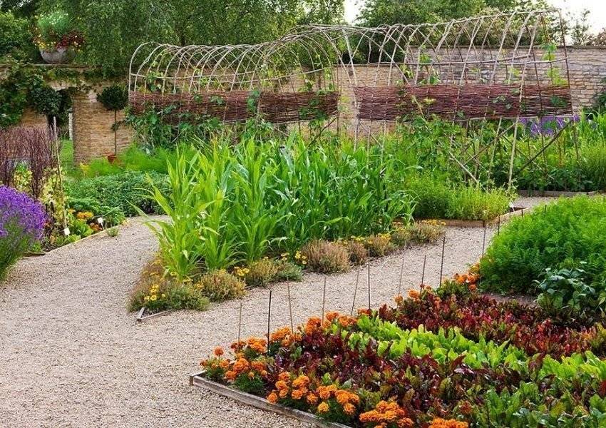 Декоративный огород с грядками в ландшафтном дизайне, фото