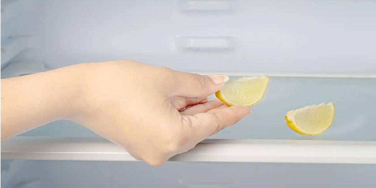 Как избавиться от неприятного запаха в холодильнике с помощью домашних средств