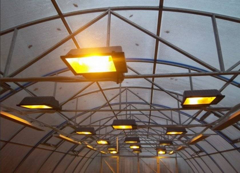 Лампы для теплиц: инфракрасные и светодиодные тепличные светильники, какие выбрать, освещение натриевыми фонарями и электролампами дневного света
