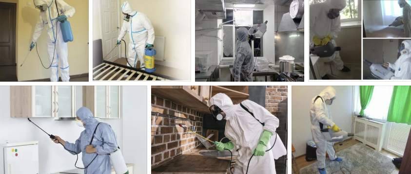 Основные ошибки при дезинфекции квартиры или дома, на которые нужно обратить внимание при уборке — спасаемся от вирусов правильно