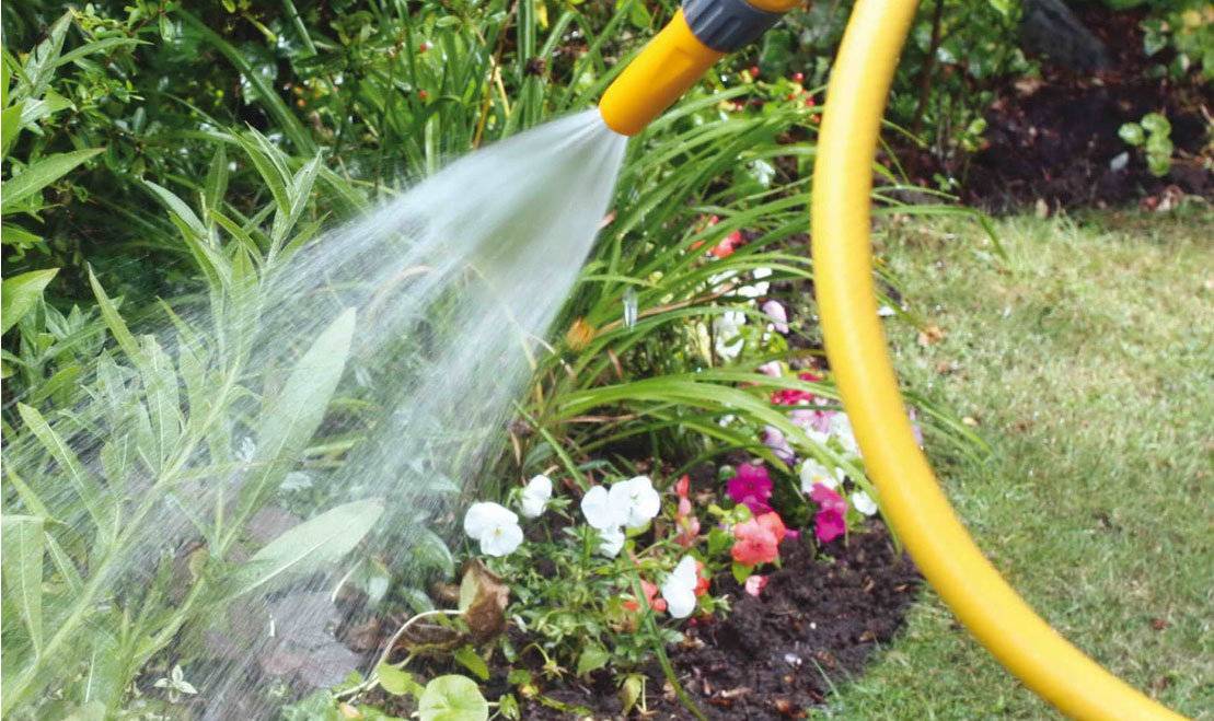 Можно ли поливать водой из бассейна огород, деревья или газон