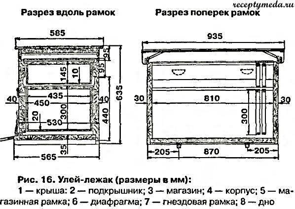 Улей для пчел своими руками: виды и чертежи