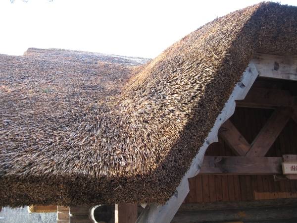Камышовая крыша: красиво, практично, недорого. как она делается