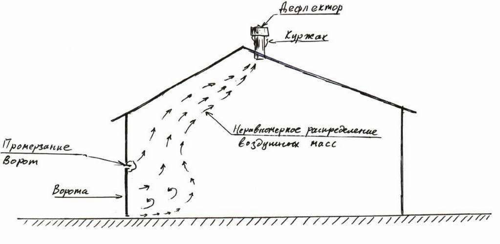 Вытяыжка в курятнике - создание, варианты и безопасность