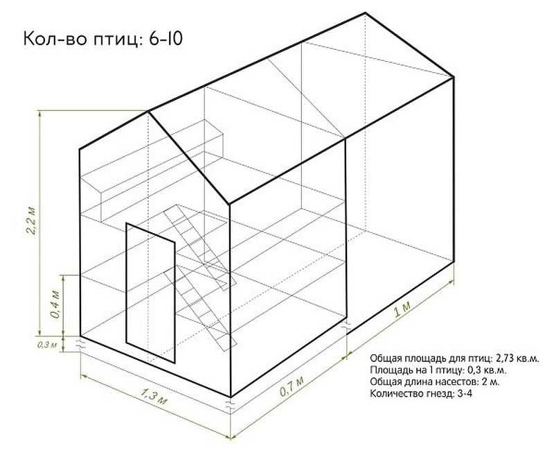 Зимний курятник на 10 кур своими руками (39 фото): чертежи с размерами, как построить сооружение для несушек