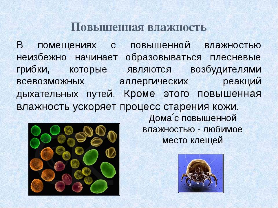 Какая должна быть оптимальная влажность воздуха в квартире: норма по госту