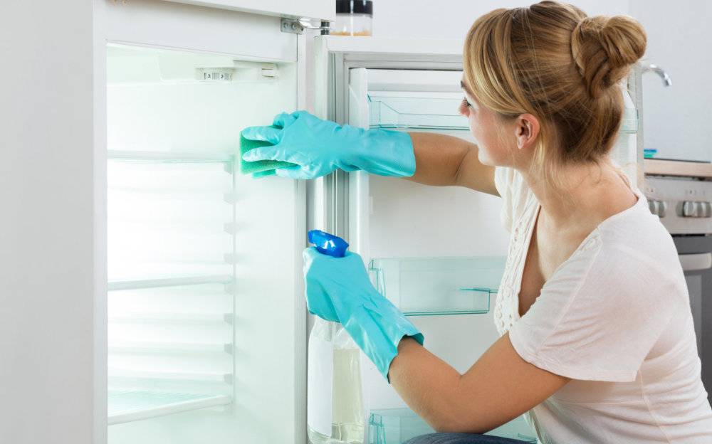 Как отмыть холодильник от запаха тухлого мяса: чем вывести, народные способы