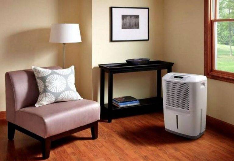 Осушитель воздуха для квартиры: цены, отзывы о лучших моделях