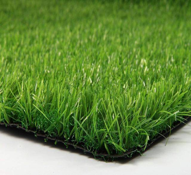 Выбираем газонную траву для дачи: советы для разных климатических условий
