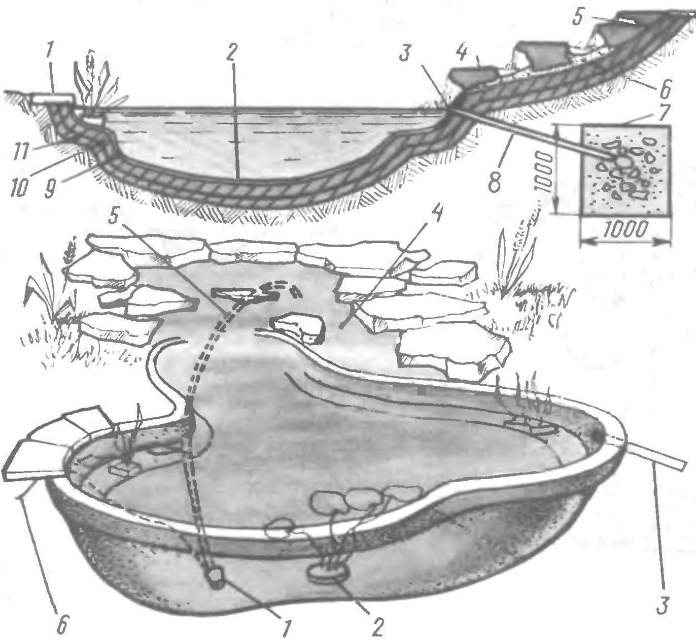 Схема пруда с биоплато с насосом