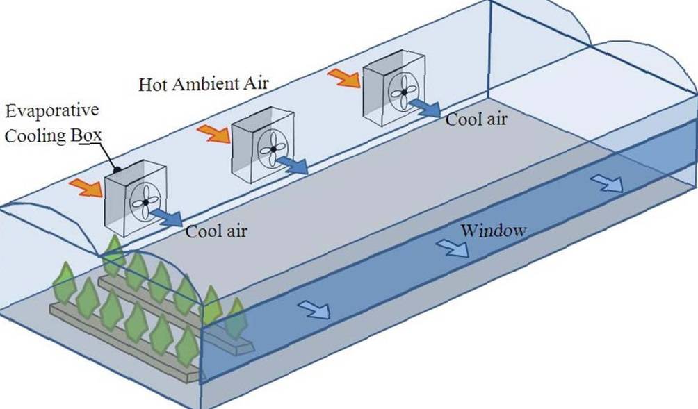 Как сделать вентиляцию в теплице из поликарбоната — рассмотрим детально