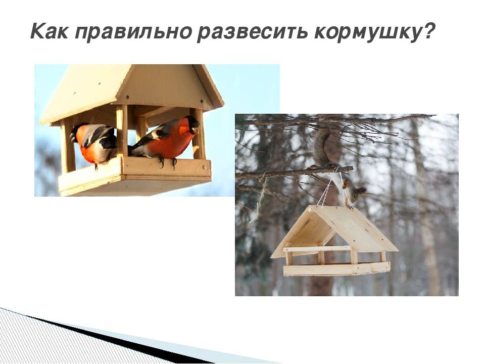 Кормушка для птиц своими руками - 85 фото постройки красивых и функциональных моделей