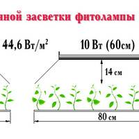 Фитолампы своими руками: как сделать светильники для растений из светодиодов? мастер-класс по изготовлению светодиодных ламп. особенности установки подсветки