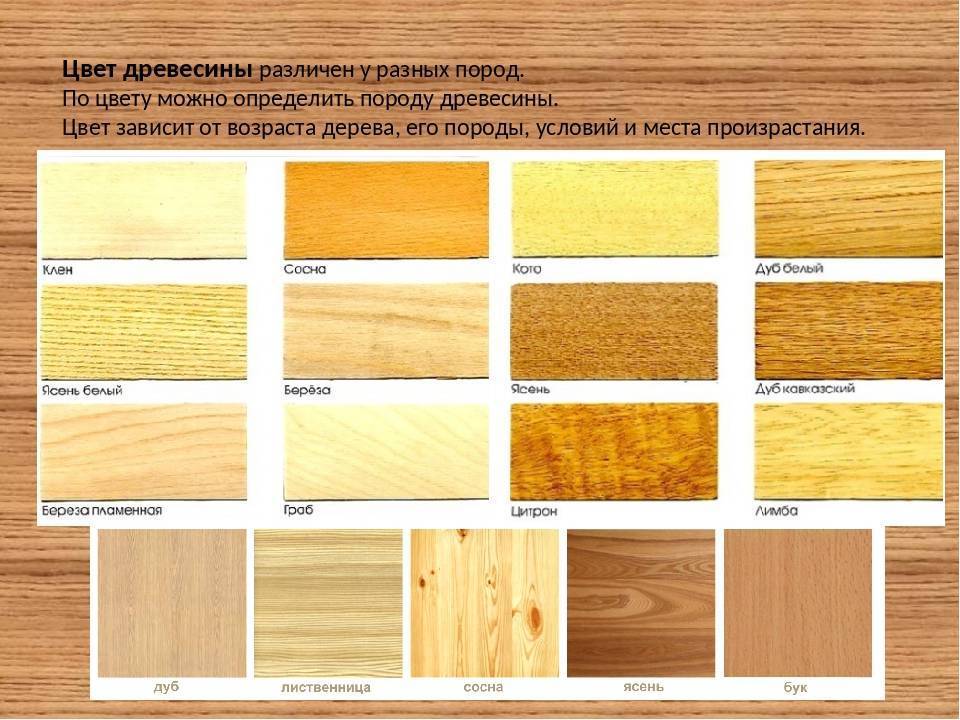 Сорт древесины – общие сведения, классификация и нормативные требования к пиломатериалам