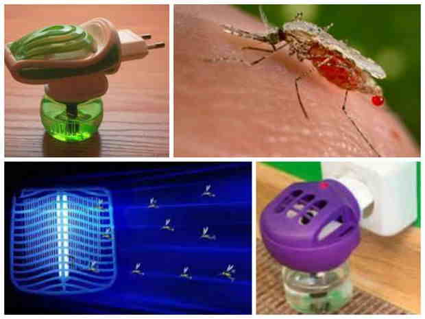 Как избавиться от комаров на дачном участке - лучшие средства